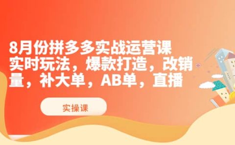 8月份拼多多实战运营课,实时玩法,爆款打造,改销量,补大单,AB单,直播