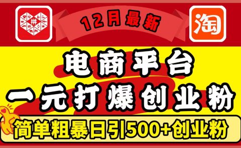 12月最新：电商平台1元打爆创业粉，简单粗暴日引500+精准创业粉，轻松月入5万+