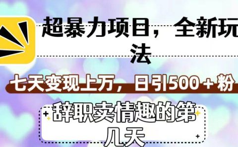 超暴利项目,全新玩法(辞职卖情趣的第几天),七天变现上万,日引500+粉