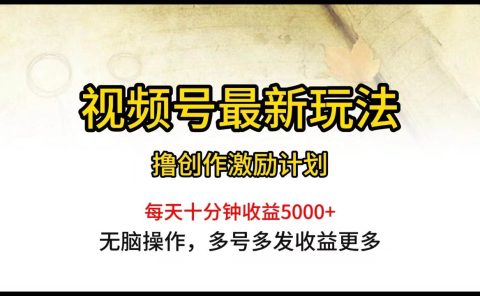 视频号最新玩法,每日一小时月入5000+