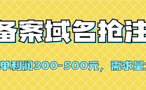 【全网首发】备案域名抢注，一单利润300-500元，需求量大