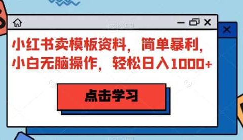 小红书卖模板资料，简单暴利，小白无脑操作，轻松日入1000+【揭秘】