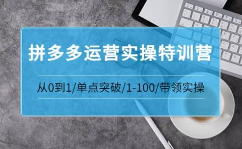 拼多多运营实操特训营:从0到1/单点突破/1-100/带领实操 价值2980元