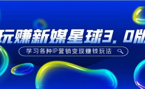 《玩赚新媒星球3.0版》学习各种IP营销变现玩法(价值498)