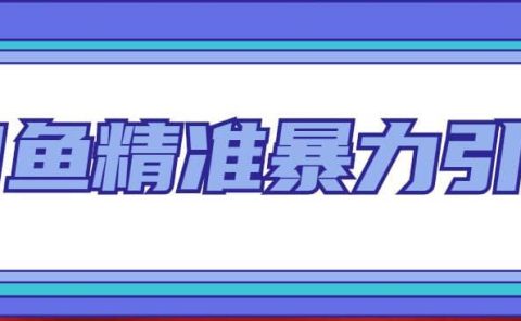 闲鱼精准暴力引流全系列课程，每天被动精准引流200+客源技术（8节视频课）
