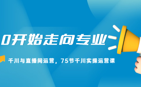 从0开始走向专业，千川与直播间运营，75节千川实操运营课