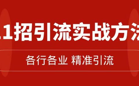 精准引流术：11招引流实战方法，让你私域流量加到爆（11节课完整版）