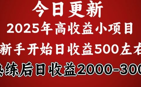 好项目一眼就能看出来，日收益1000，长久可做，2025拼的就是我比你勤奋
