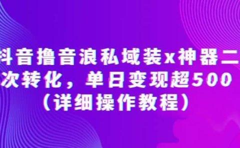 抖音撸音浪私域装x神器二次转化，单日变现超500（详细操作教程）