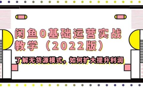闲鱼0基础运营实战教学（2022版）了解无货源模式，如何扩大提升利润