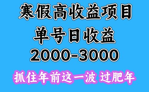 寒假期间一天收益2000-3000+，抓住年前这一波