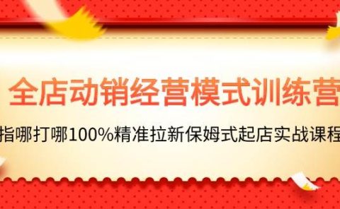 全店动销-经营模式训练营，指哪打哪100%精准拉新保姆式起店实战课程