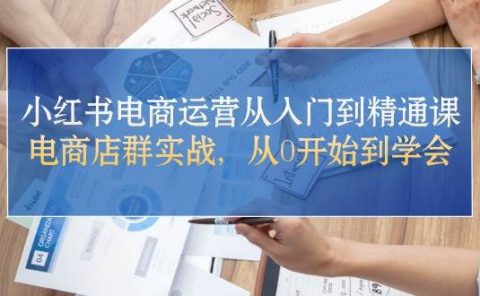 小红书电商运营从入门到精通课，电商店群实战，从0开始到学会
