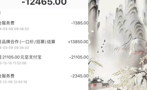 小红书新赛道,商单接到手软,涨粉迅速,月入1w+