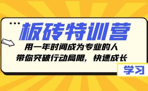 板砖特训营,用一年时间成为专业的人,带你突破行动局限,快速成长