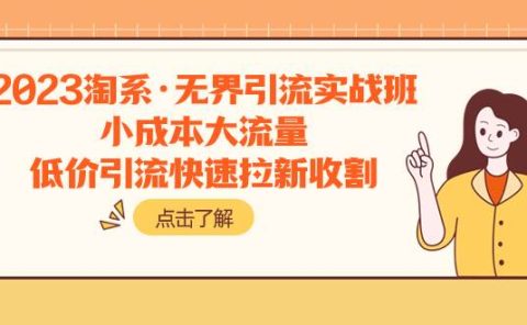 2023淘系·无界引流实战班：小成本大流量，低价引流快速拉新收割