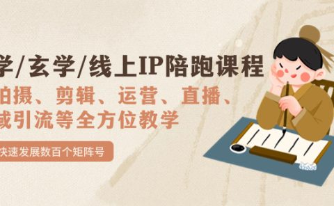 国学/玄学/线上IP陪跑课程，从0-1全方位教学，快速发展数百个矩阵号