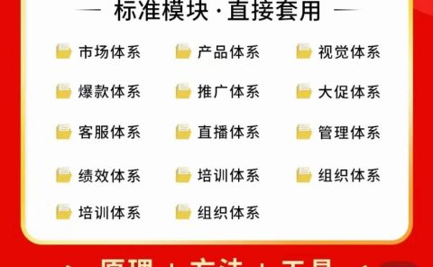 外面卖198·电商企业经营管理工具:全套执行落地方案 标准模块·直接套用