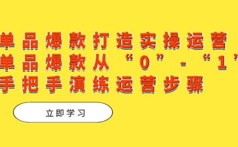 单品爆款打造实操运营，单品爆款从“0”-“1”手把手演练运营步骤