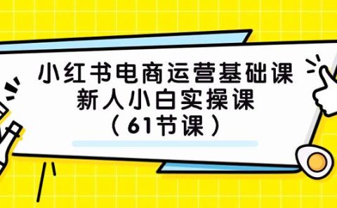 小红书电商运营基础课，新人小白实操课（61节课）