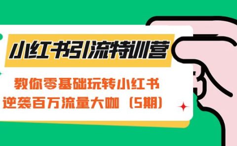 小红书引流特训营-第5期：教你零基础玩转小红书，逆袭百万流量大咖