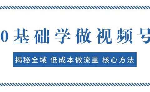 0基础学做视频号：揭秘全域 低成本做流量 核心方法  快速出爆款 轻松变现