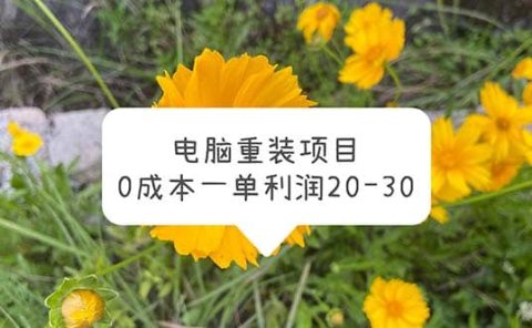 电脑系统重装项目,0成本一单利润20-30