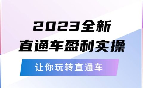 2023全新直通车·盈利实操:从底层,策略到搭建,让你玩转直通车