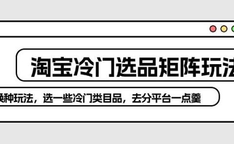淘宝冷门选品矩阵玩法：换种玩法，选一些冷门类目品，去分平台一点羹
