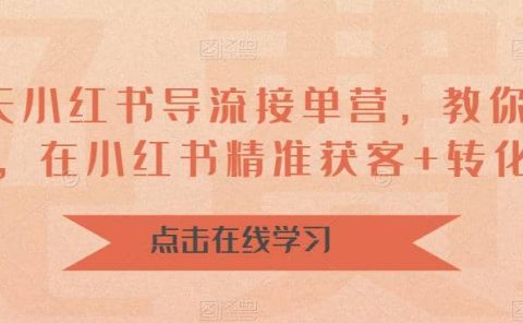 16天-小红书 导流接单营，教你引爆流量，在小红书精准获客+转化成交