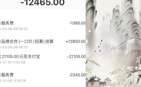 小红书新赛道，商单接到手软，涨粉迅速，一个月1w+