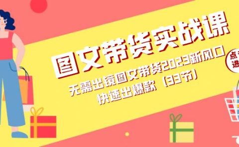 图文带货实战课：无需出镜图文带货2023新风口，快速出爆款（33节）