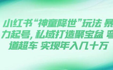 小红书“神童降世”玩法 暴力起号,私域打造聚宝盆 弯道超车 实现年入几十万