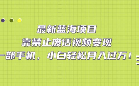 最新蓝海项目，靠禁止废话视频变现，一部手机，小白轻松月入过万！