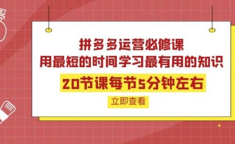 拼多多运营必修课：20节课每节5分钟左右，用最短的时间学习最有用的知识