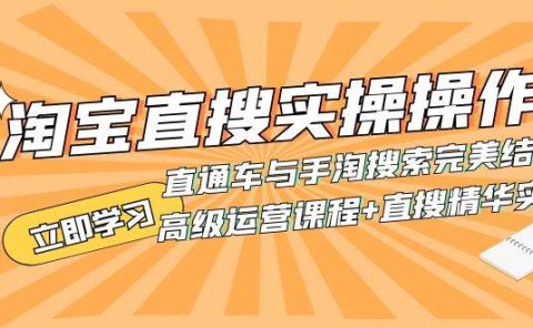 淘宝直搜实操操作 直通车与手淘搜索完美结合（高级运营课程+直搜精华实战）