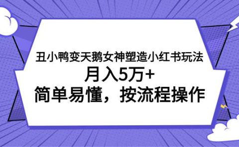 丑小鸭变天鹅女神塑造小红书玩法,月入5万+,简单易懂,按流程操作