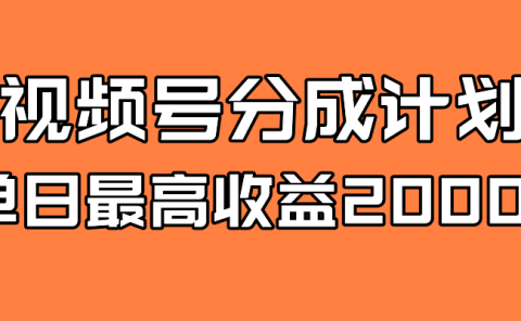 全新蓝海 视频号掘金计划 日入2000+