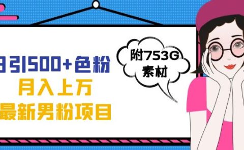 日引500+色粉轻松月入上万九月份最新男粉项目（附753G素材）