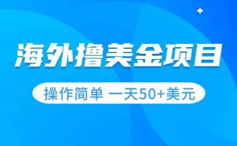 撸美金项目 无门槛 操作简单 小白一天50+美刀