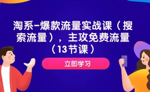 淘系-爆款流量实战课（搜索流量），主攻免费流量（13节课）