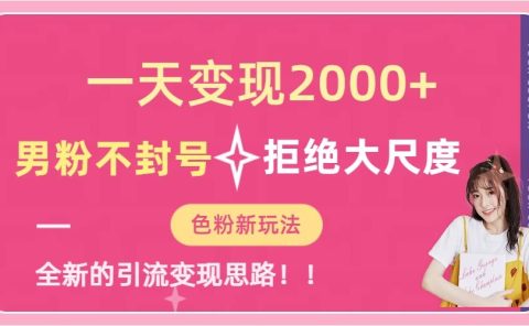 一天收款2000元，男粉不封号拒绝大尺度-色粉全新的变现方法