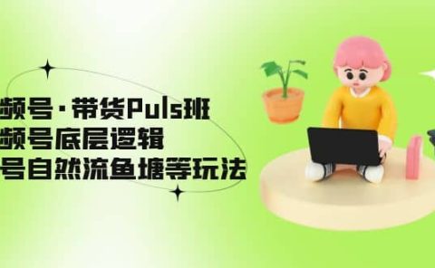 视频号·带货Puls班，视频号底层逻辑，起号自然流鱼塘等玩法