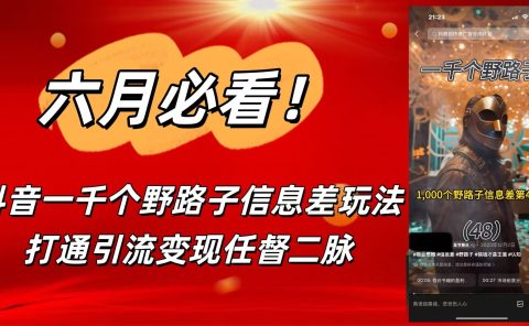 6月必看！抖音一千个野路子信息差玩法，打通引流变现任督二脉