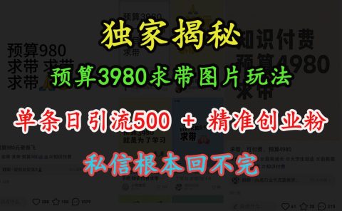 “小红书”预算3980求带 图片玩法,单条日引流500+精准创业粉,私信根本回不完
