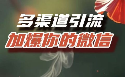 多渠道引流,加爆你的微信,把流量导入到私域,这是每一个想要在互联网赚钱的人必须掌握的底层能力