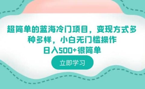 超简单的蓝海冷门项目,变现方式多种多样,小白无门槛操作日入500+很简单