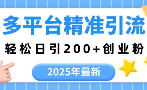 2025年最新多平台精准引流，轻松日引200+