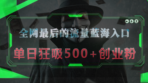 全网最后的流量蓝海入口，半小时引流50+创业粉，单日狂吸500+创业粉