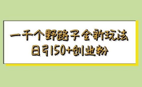 一千个野路子全新玩法 日引50+创业粉